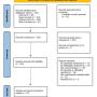 FIGURE 1: PRISMA flowchart