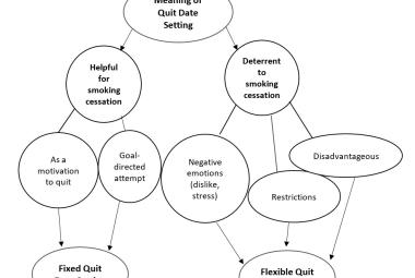 Summary of the themes that emerged regarding the experience of smokers setting a quit date